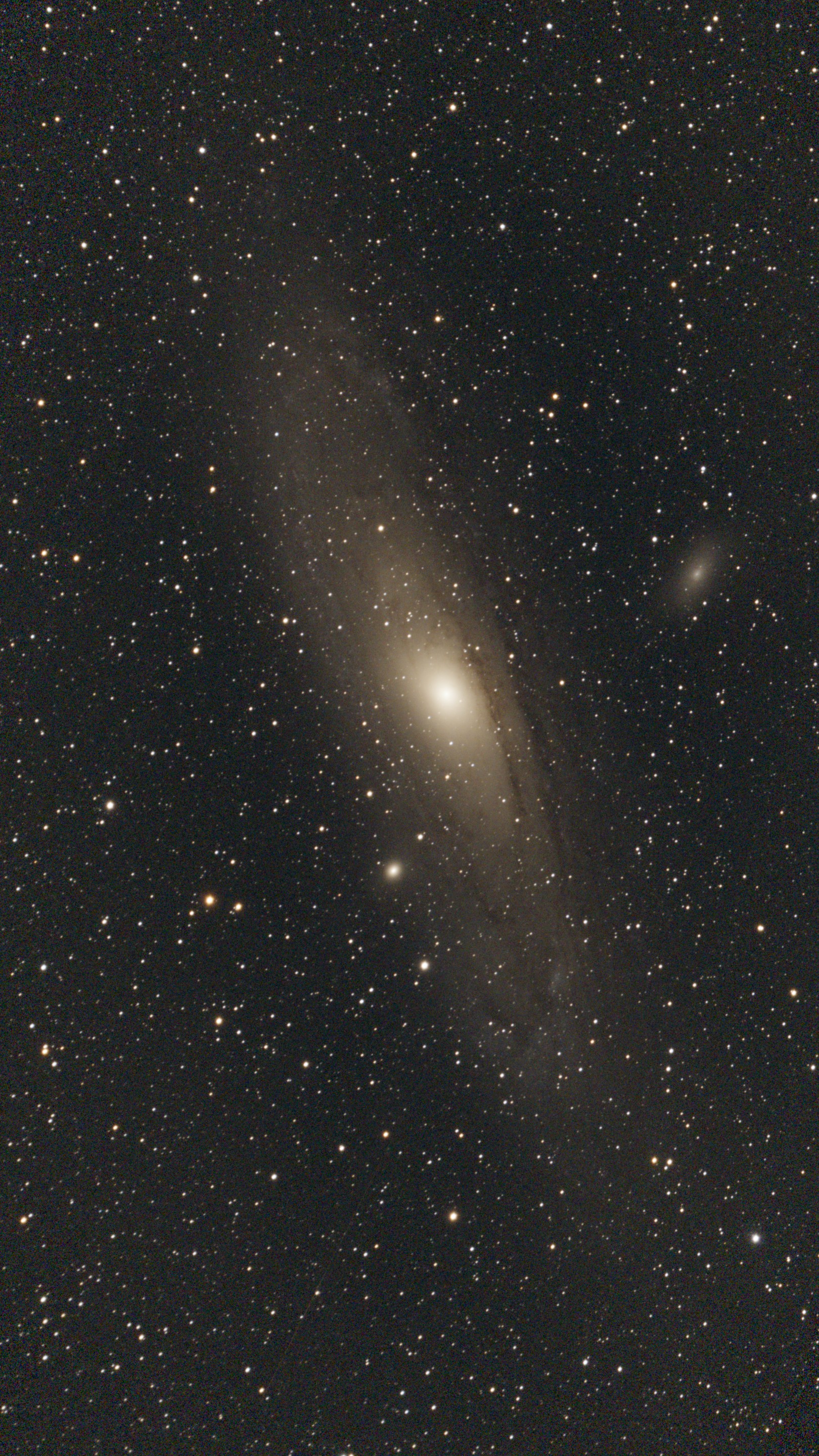 M31 (Andromeda Galaxy)